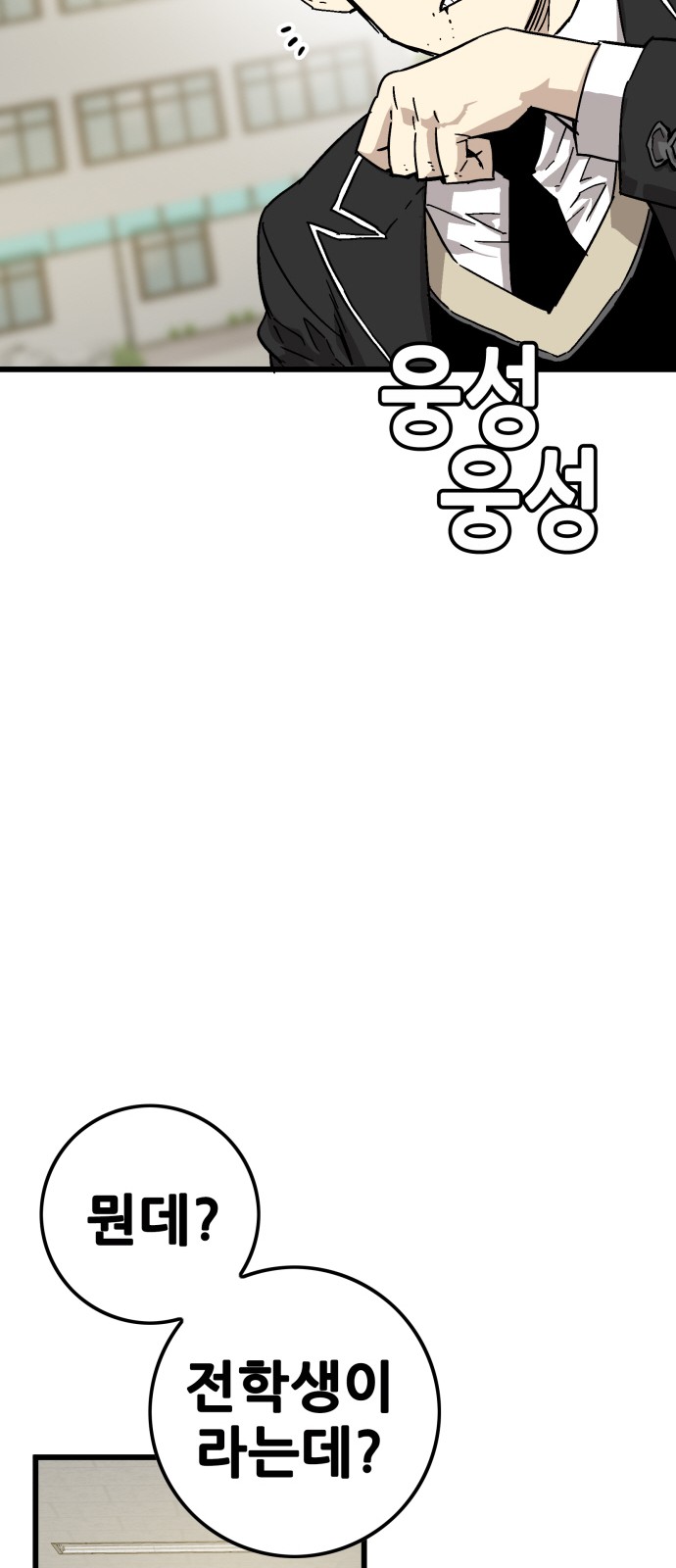 146 페이지