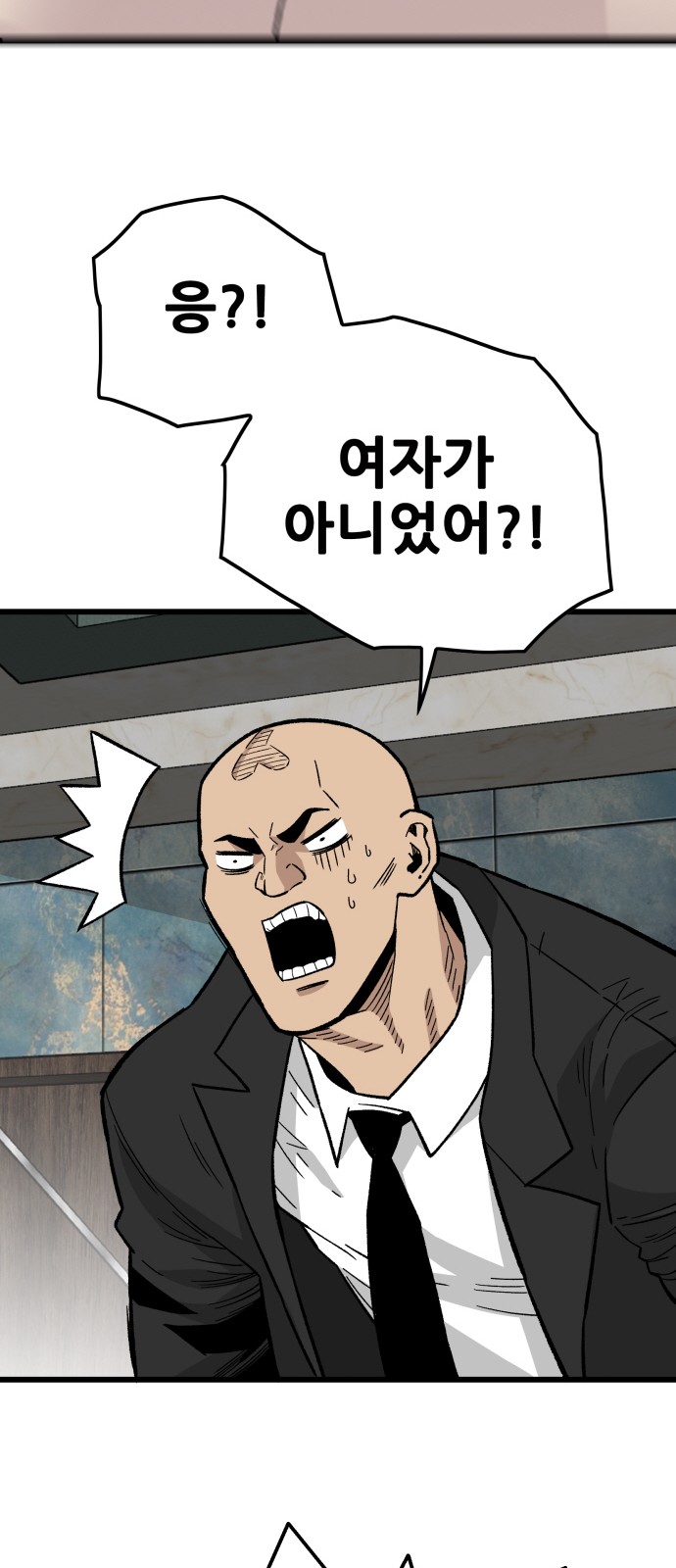 95 페이지