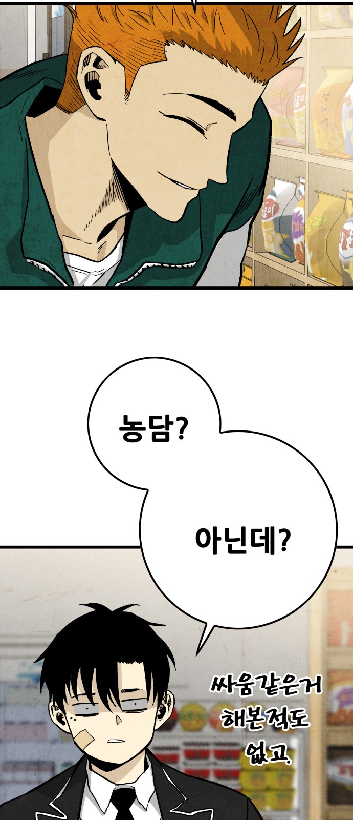 13 페이지
