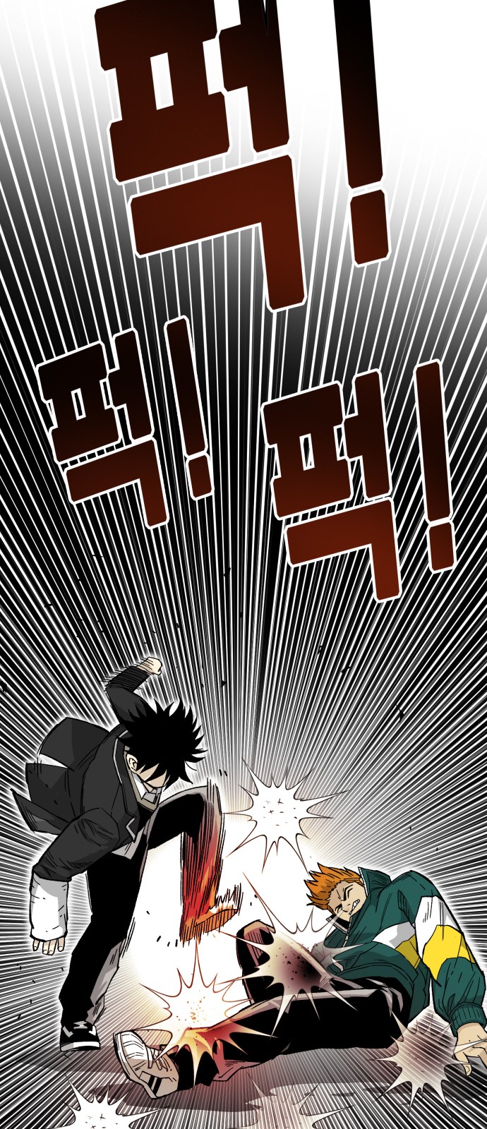 56 페이지