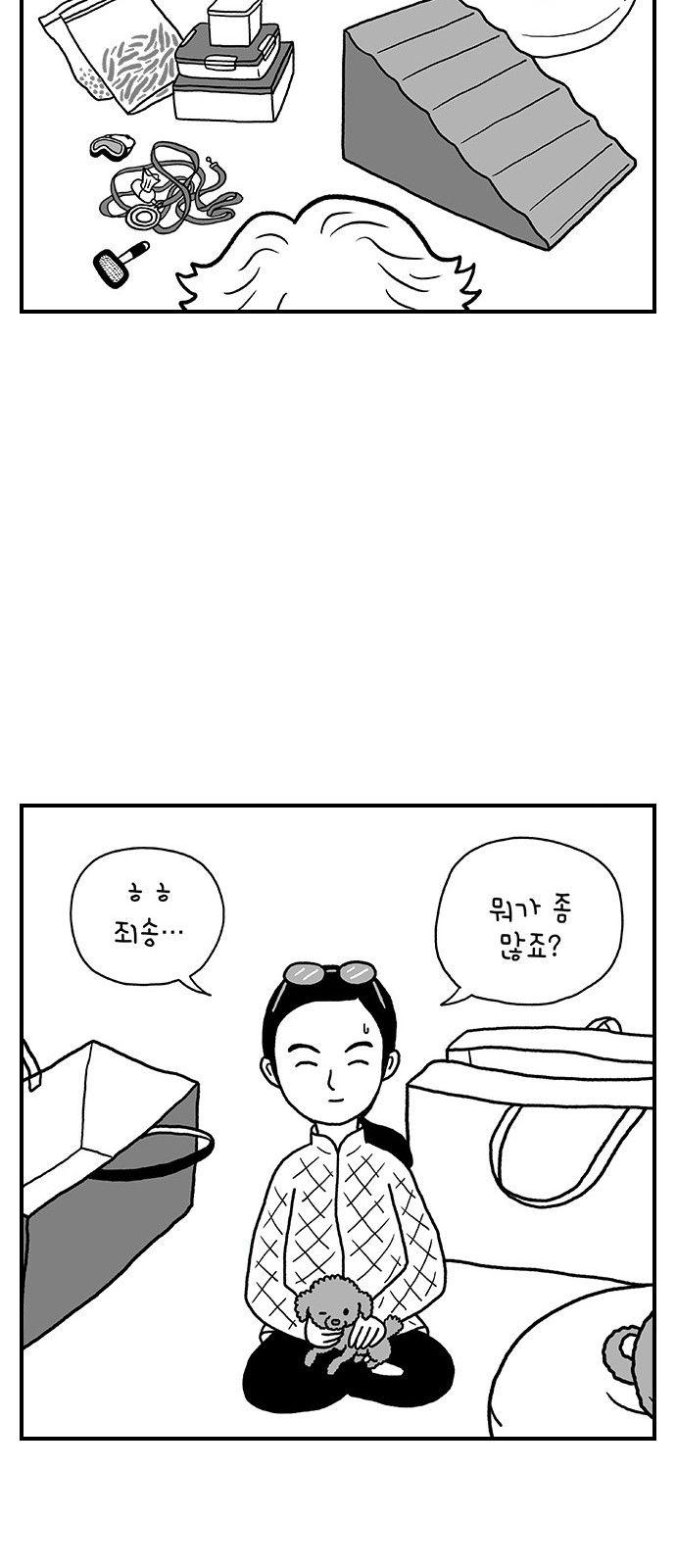 13 페이지