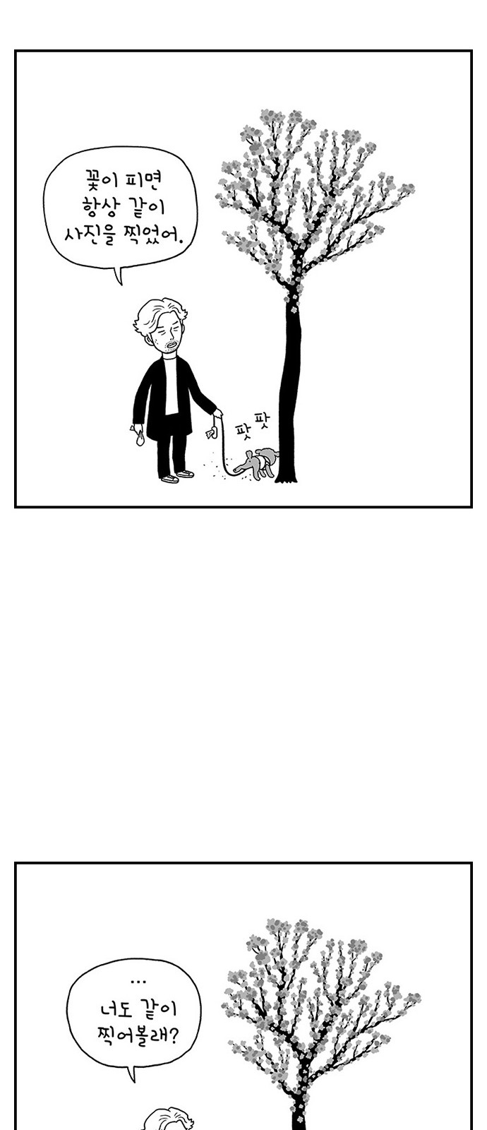 30 페이지