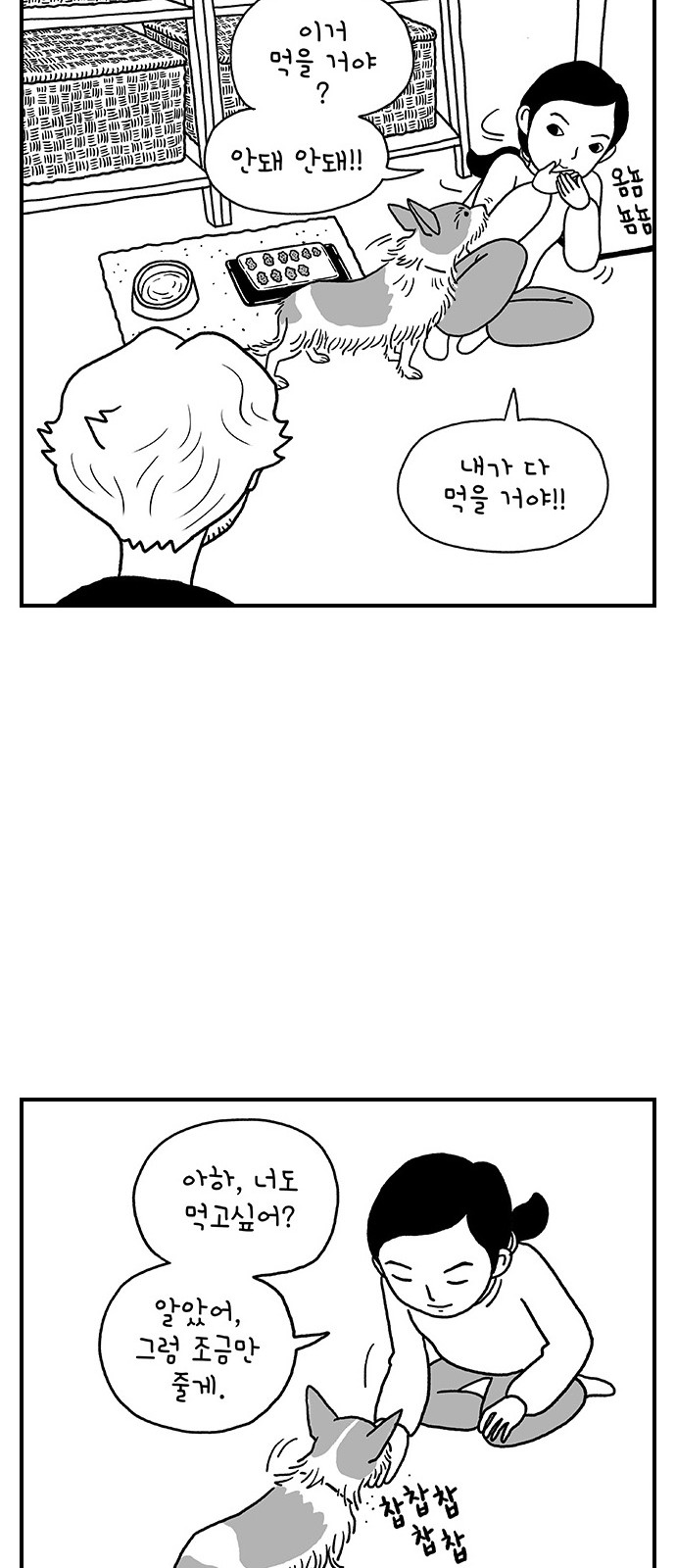 19 페이지
