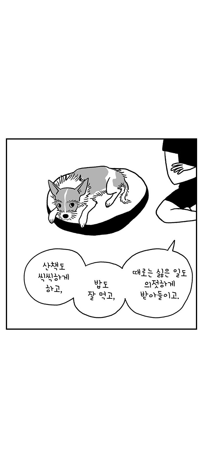 23 페이지