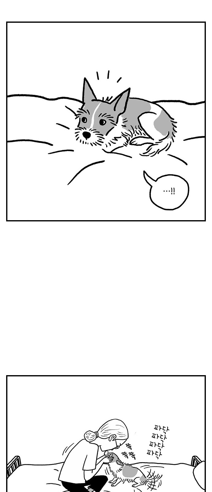 6 페이지