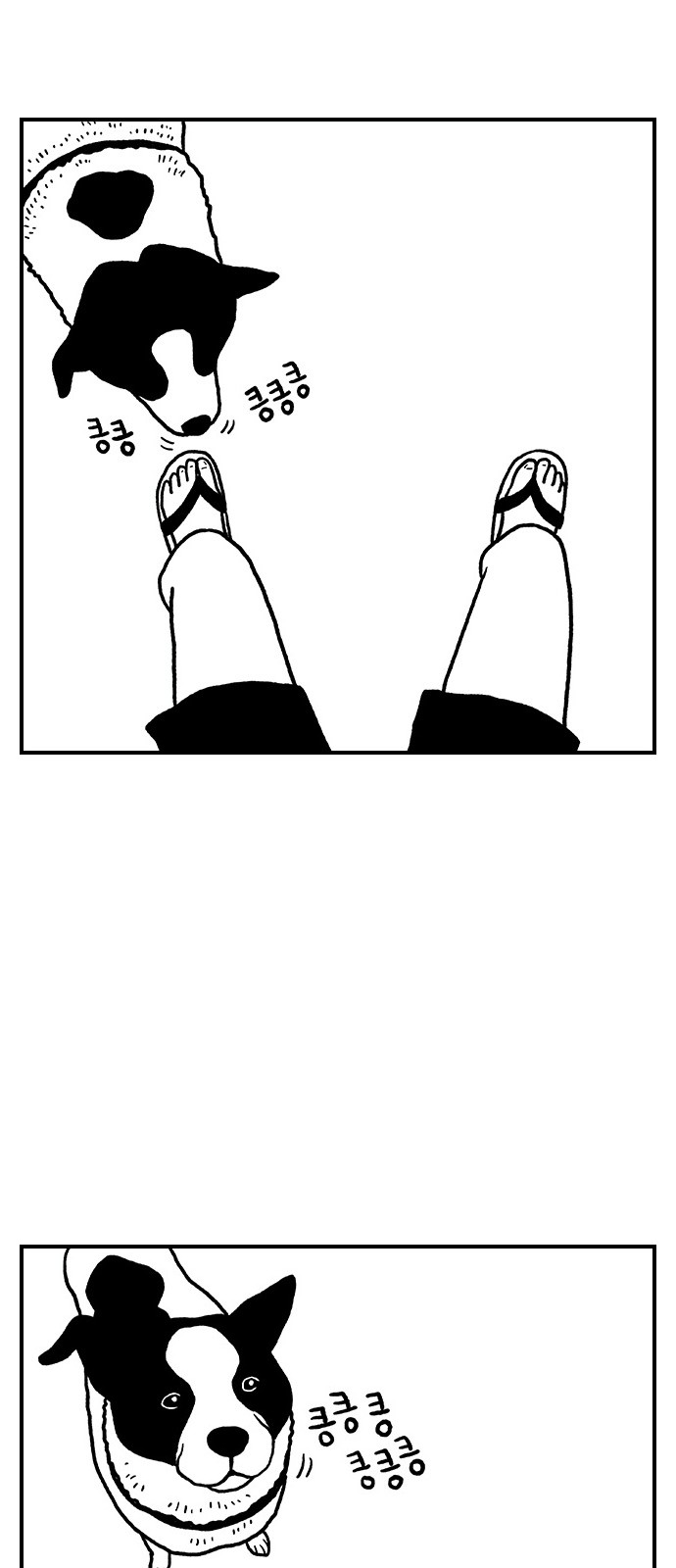 11 페이지