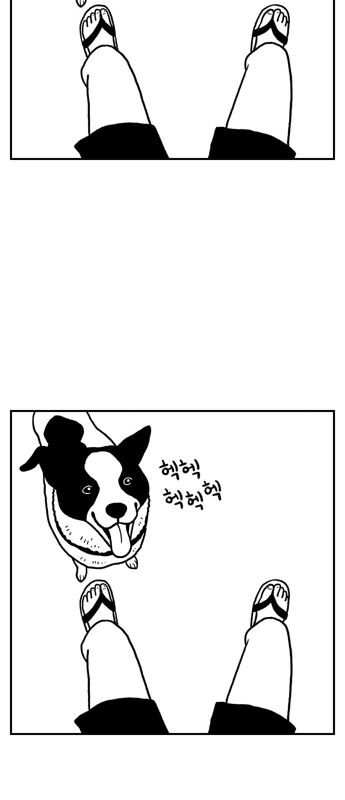 12 페이지