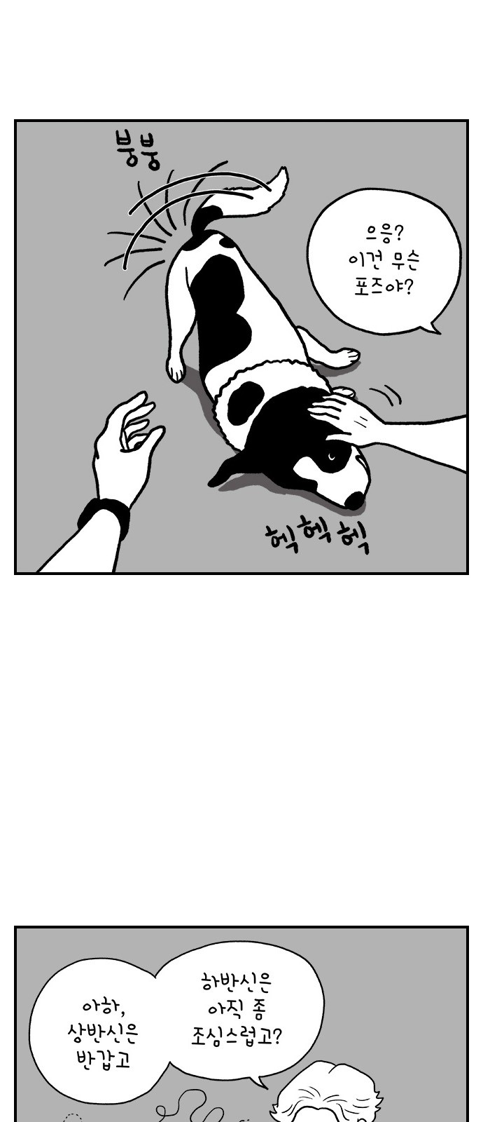 39 페이지