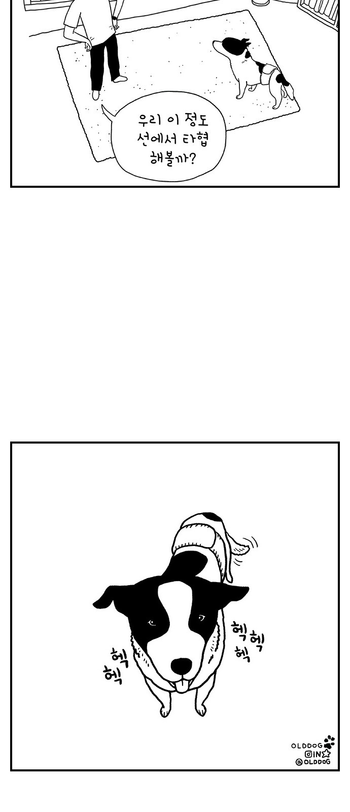 40 페이지