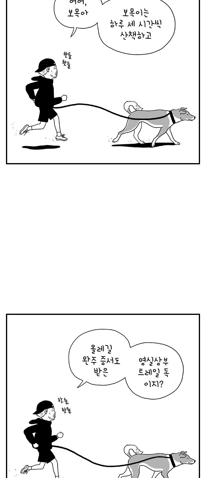 37 페이지