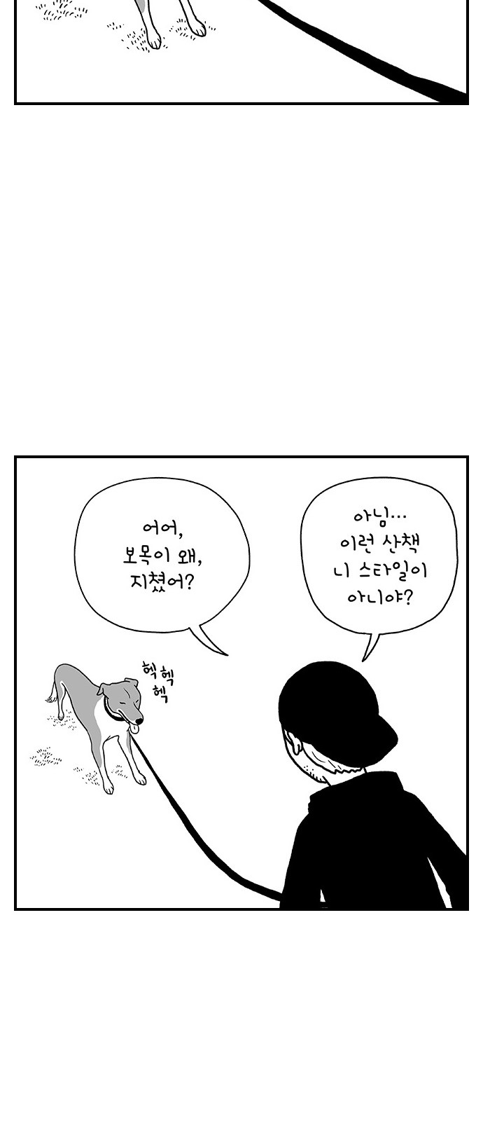 43 페이지