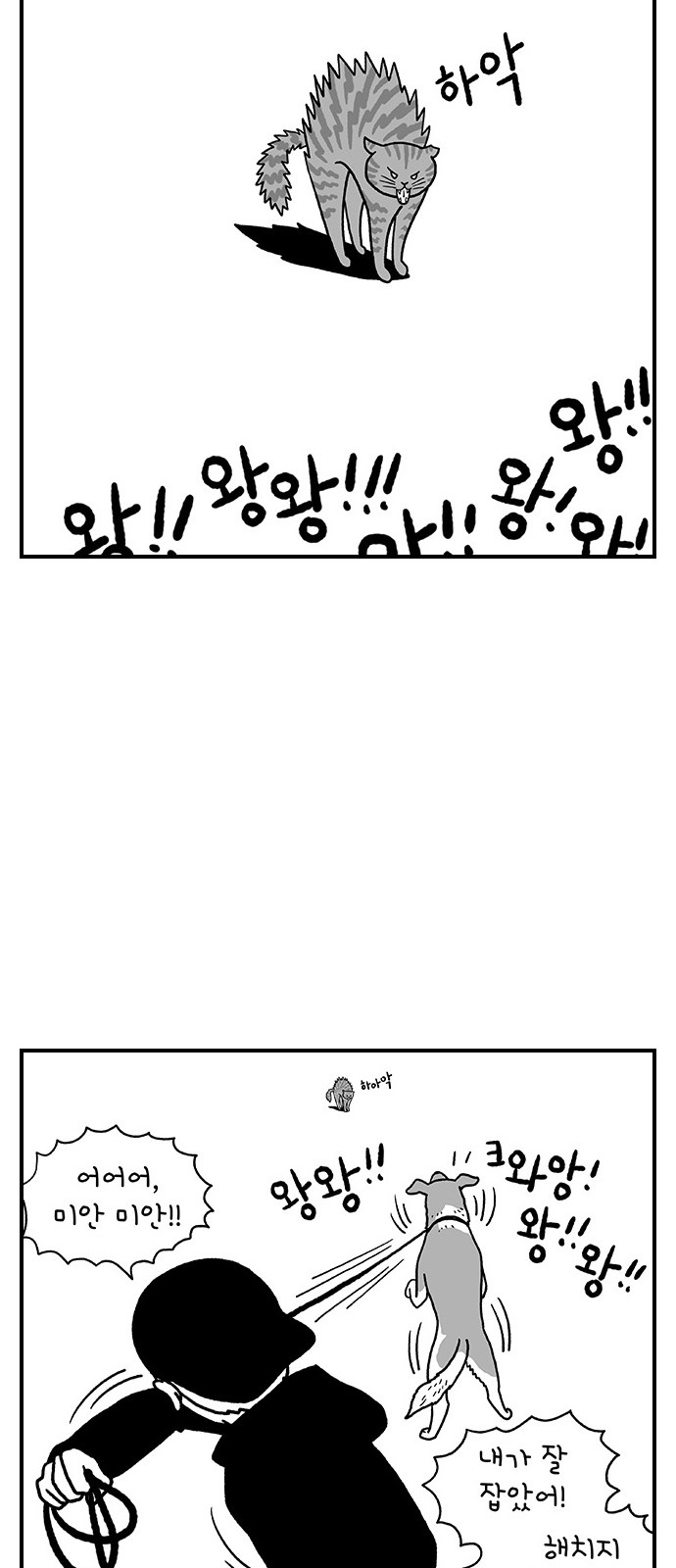 14 페이지