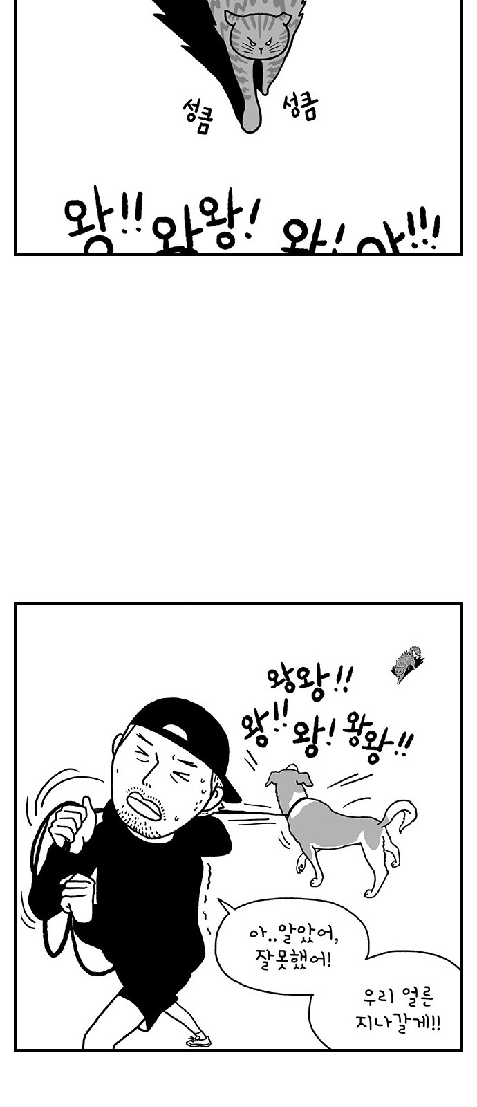 17 페이지