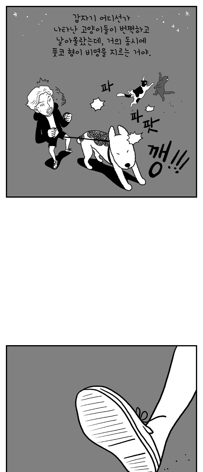 24 페이지