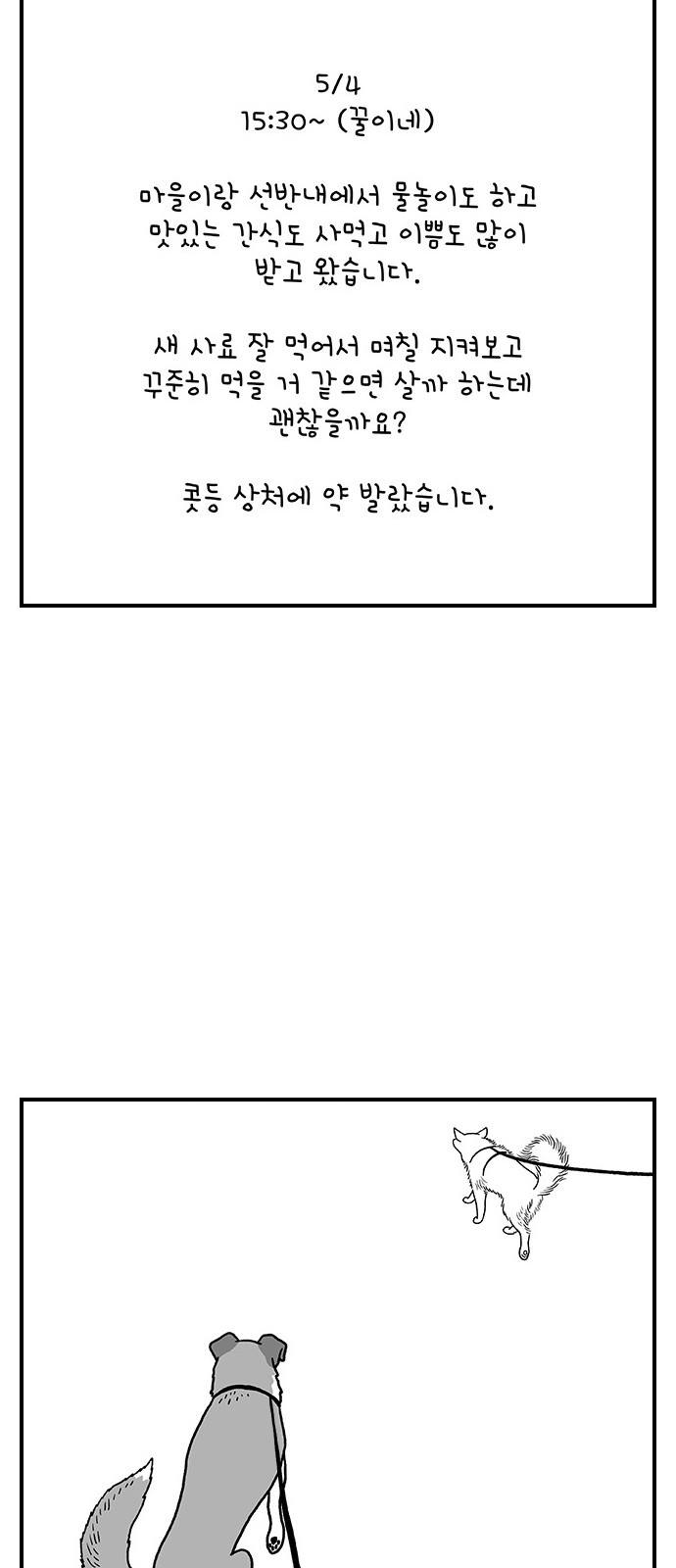 19 페이지