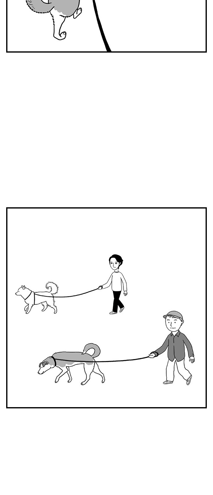 20 페이지