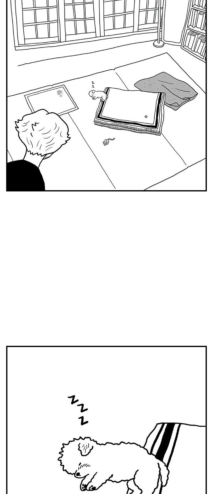 19 페이지