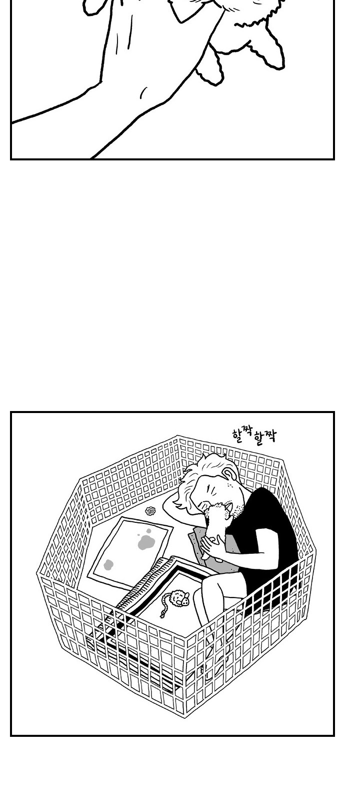 35 페이지