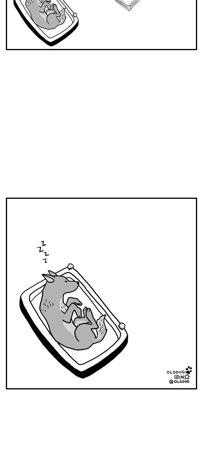 43 페이지