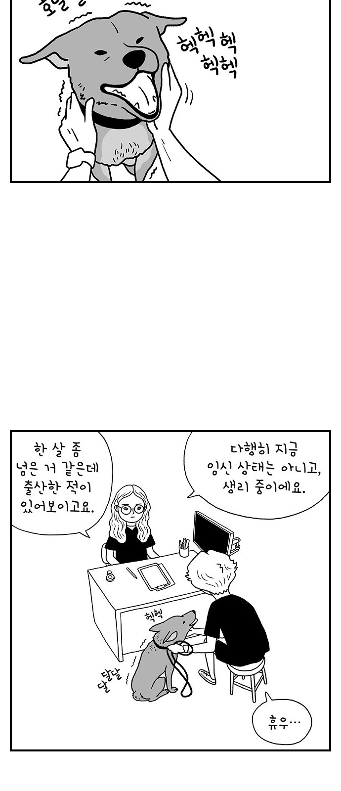 17 페이지
