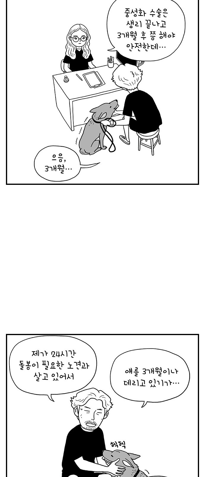 19 페이지