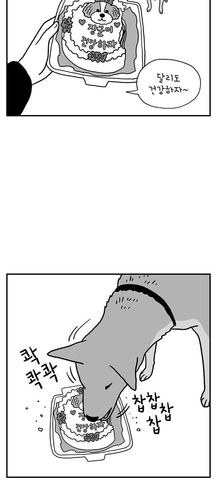 17 페이지