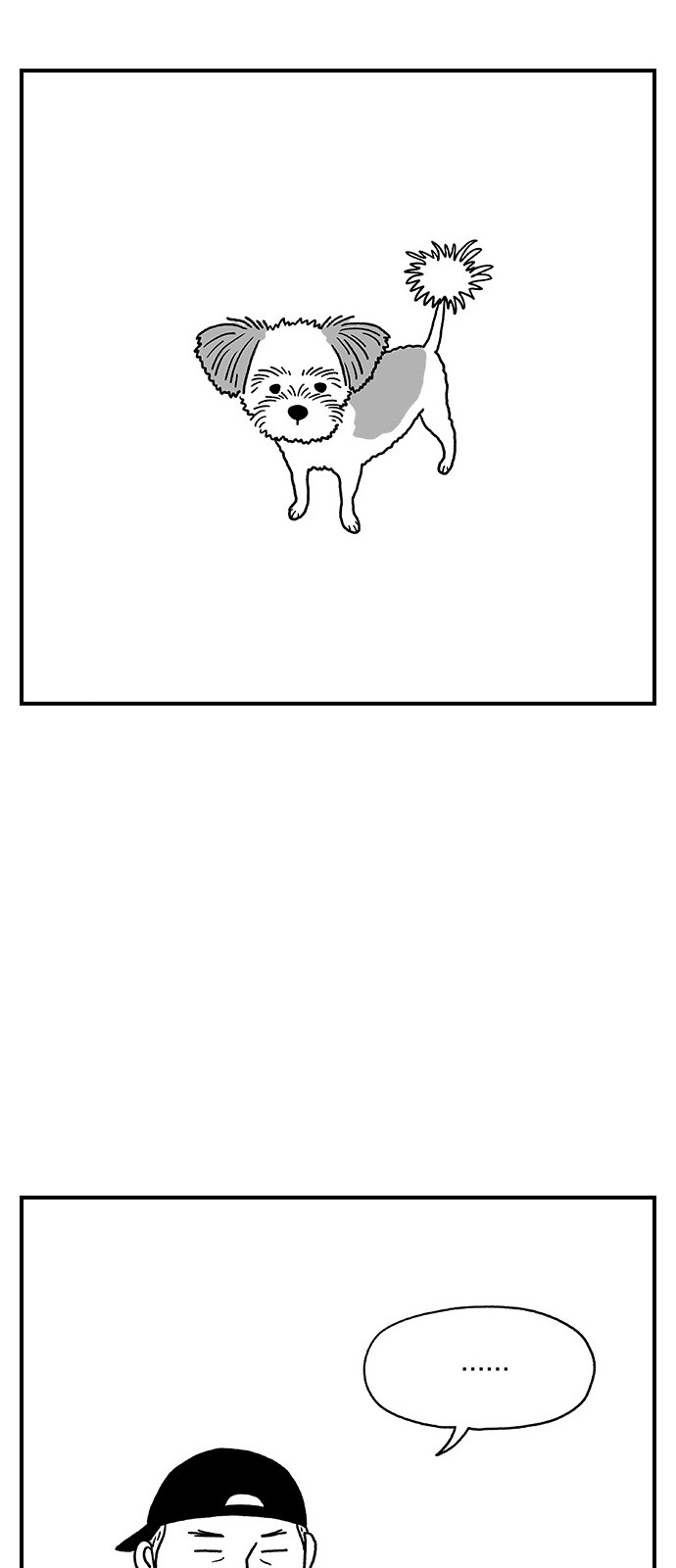 6 페이지