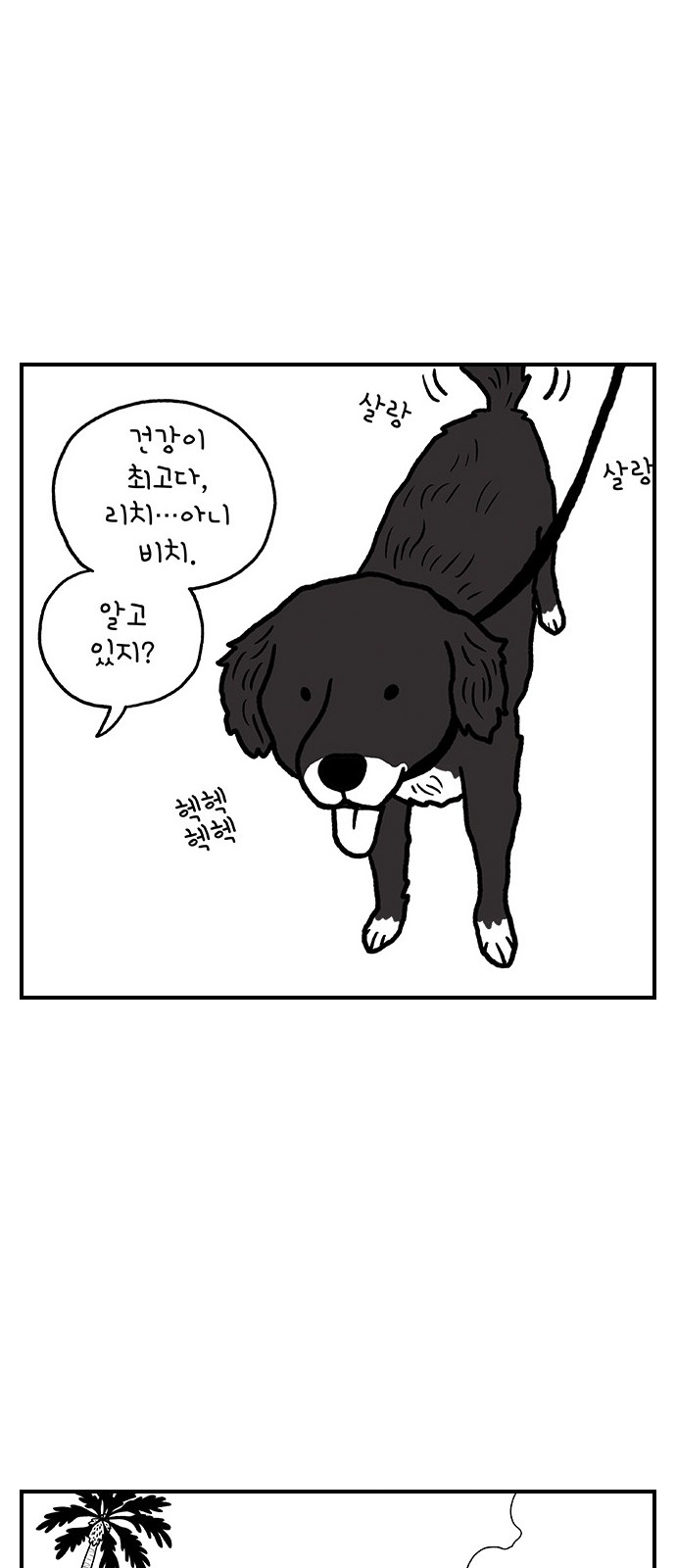 13 페이지