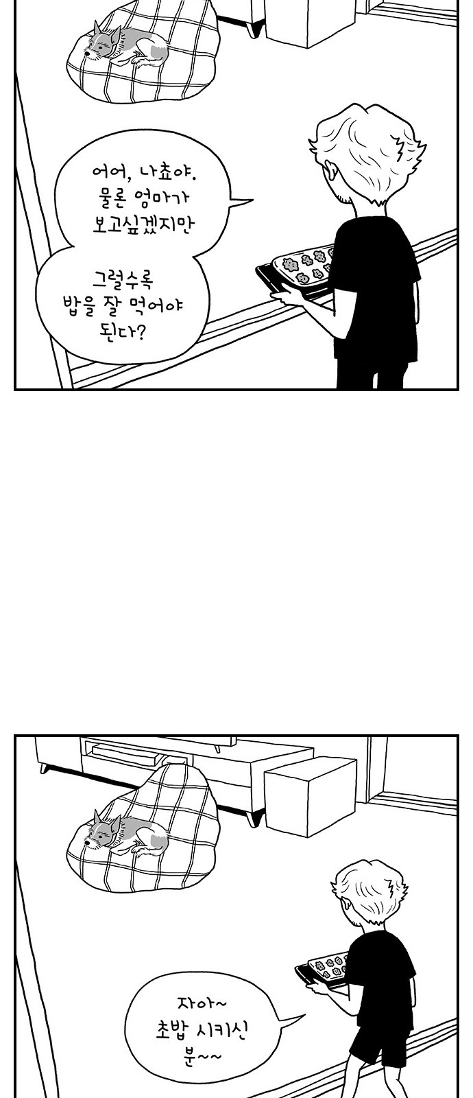 14 페이지