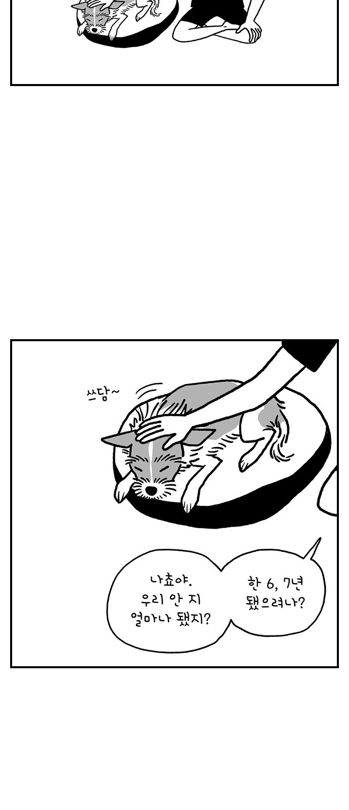 20 페이지