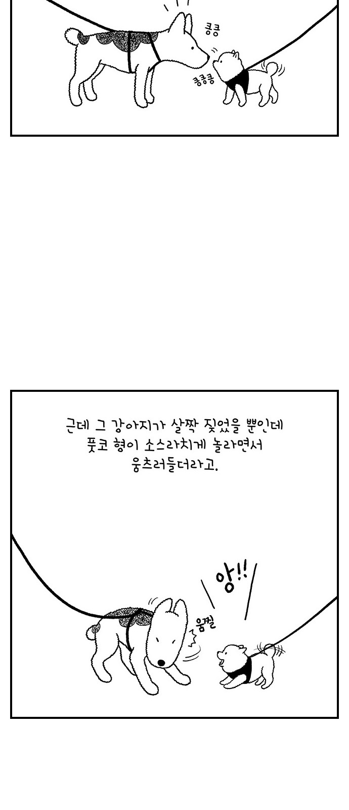 30 페이지