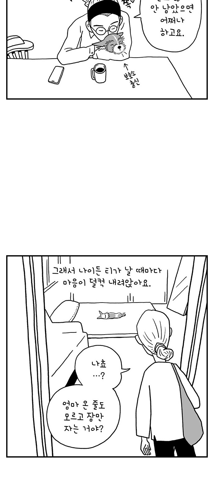35 페이지