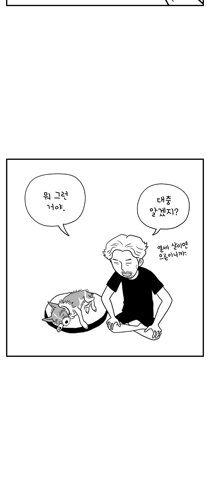 51 페이지