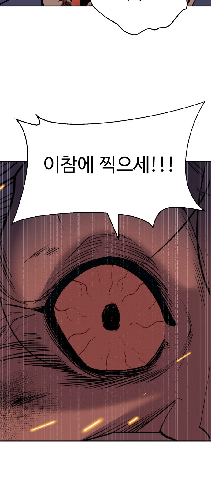 113 페이지