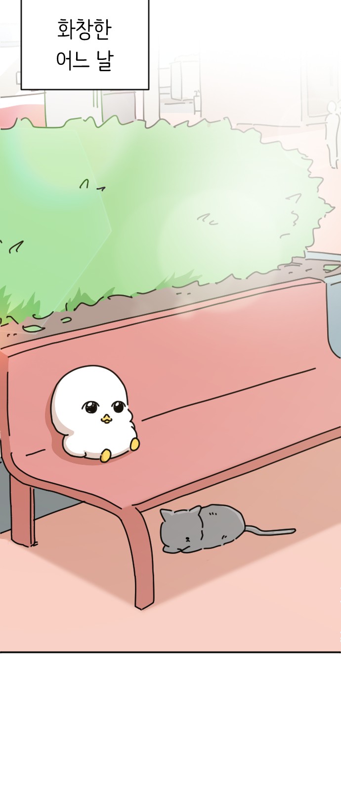11 페이지