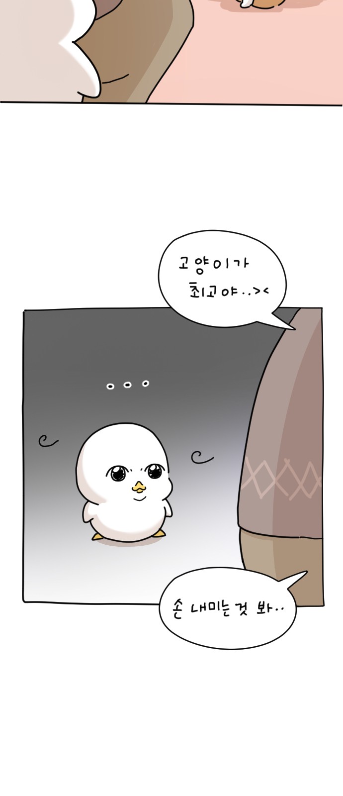 50 페이지