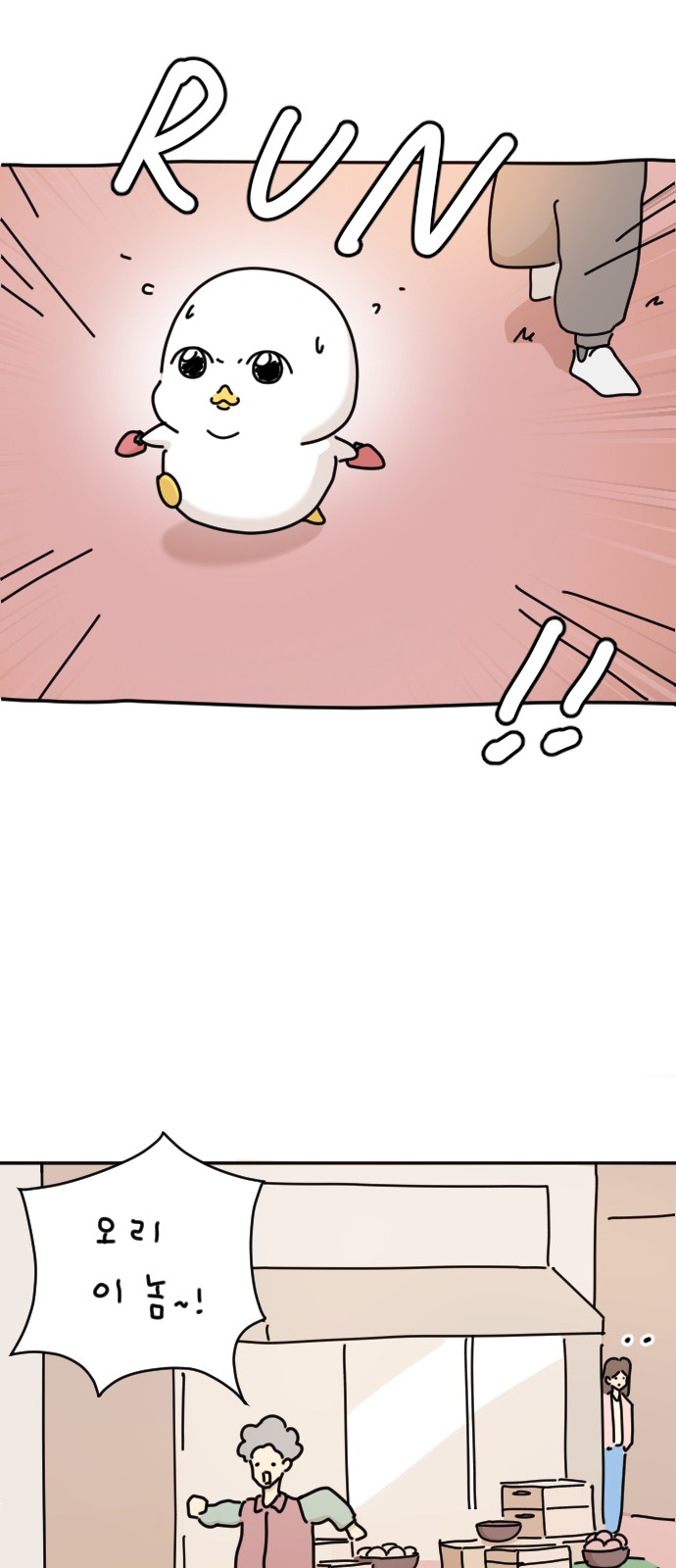 55 페이지