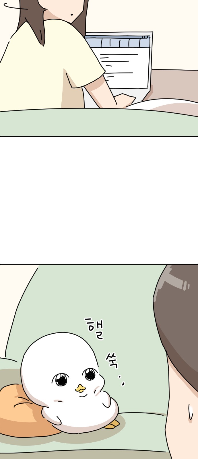 40 페이지
