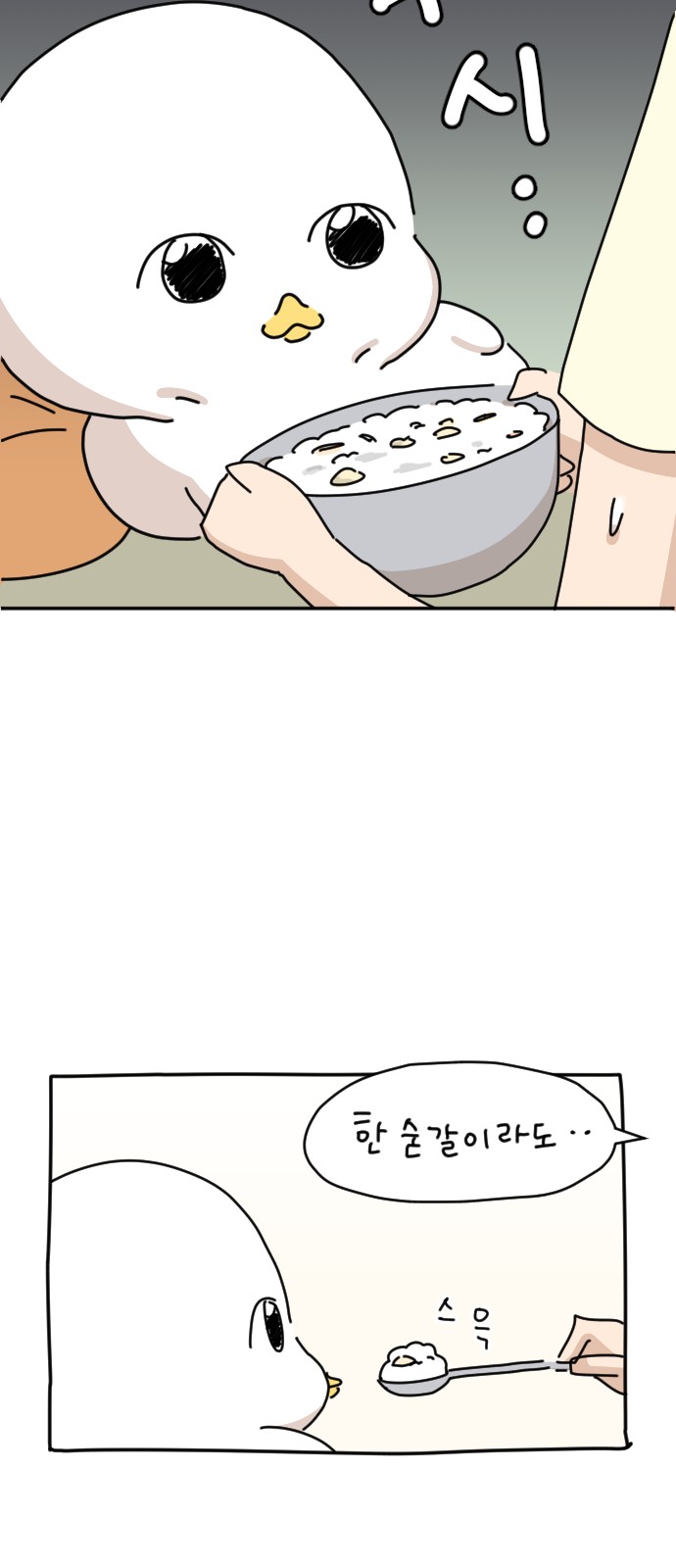 43 페이지