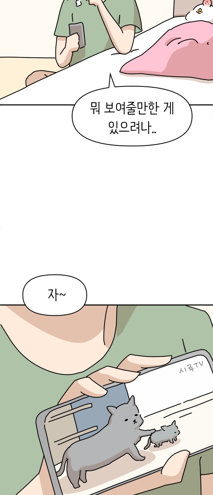62 페이지
