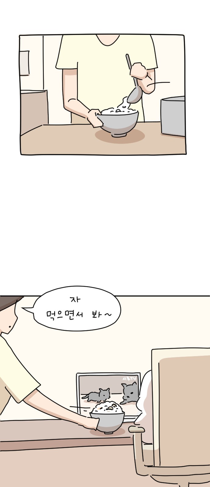 80 페이지
