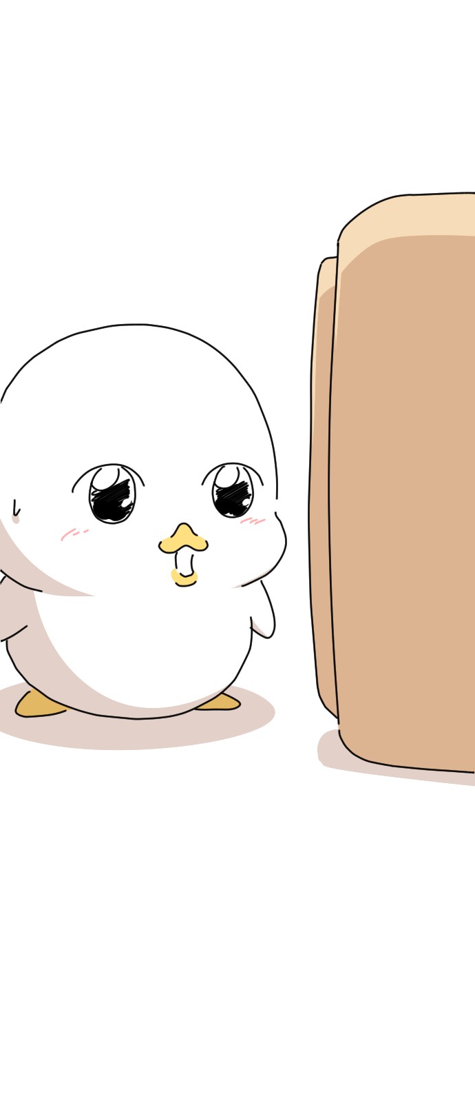 20 페이지