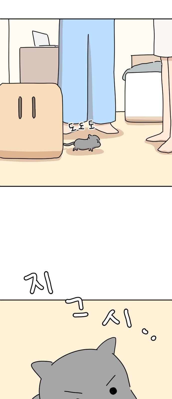 36 페이지