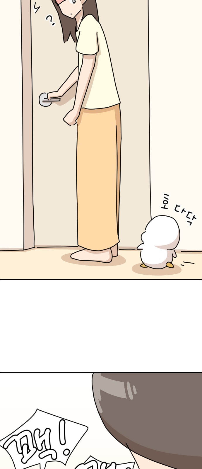 43 페이지