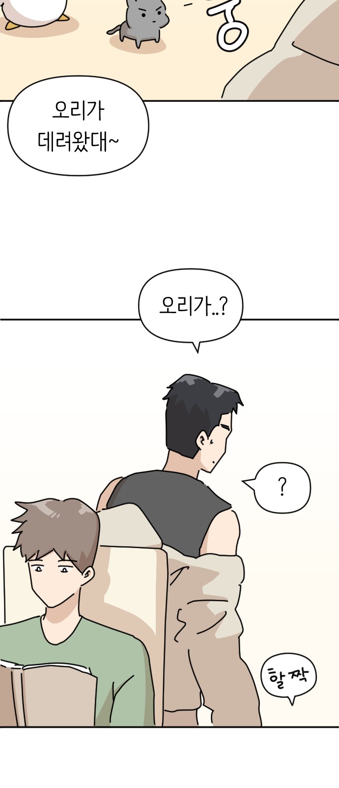 15 페이지