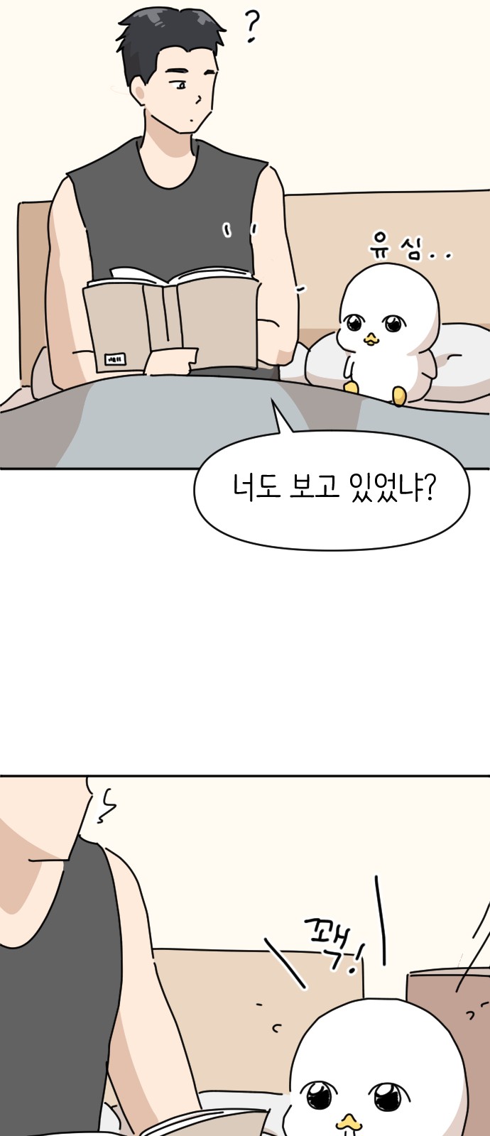 19 페이지