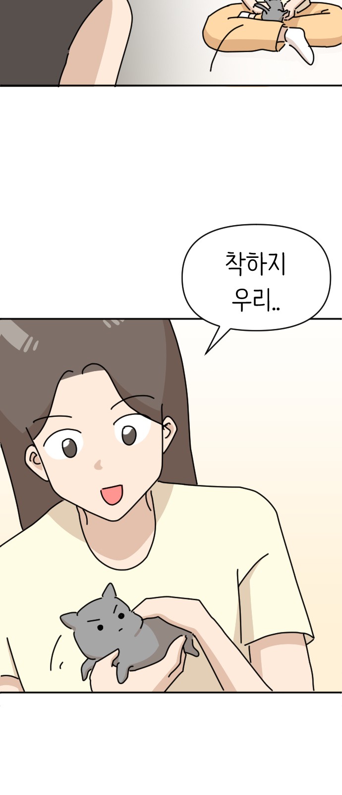 51 페이지