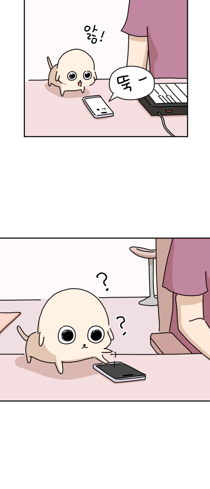 15 페이지