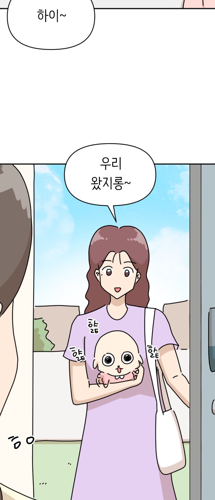41 페이지