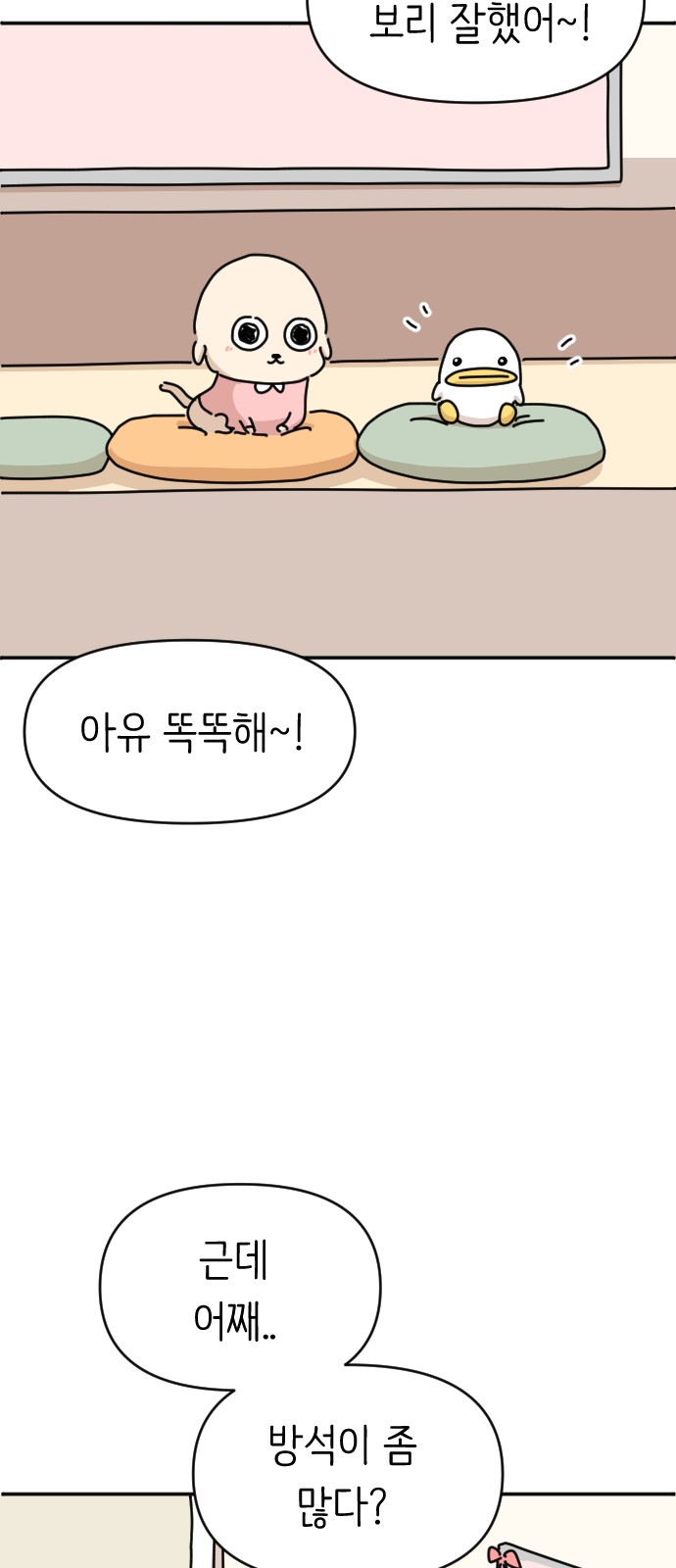 51 페이지